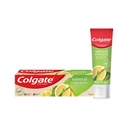 COLGATE PASTE NAT EXTRACTS 75ML