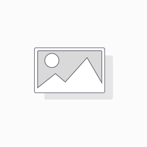 [ST-GRE01] 100 GREAT  LEADERSHIP IDEAS/LEADERSHIP